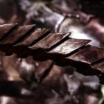 Dofinansowanie do pompy ciepła 2024 – Co musisz wiedzieć?